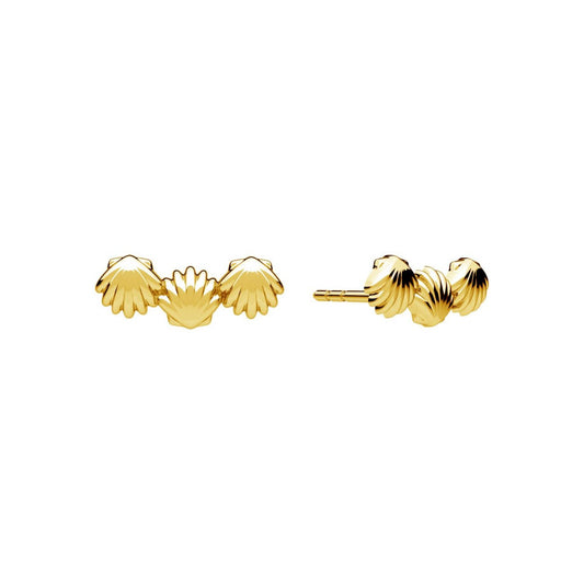 Maris Shell Stud Earrings Shell Stud Earrings – Gold Vermeil or Sterling Silver | Minimal Coastal Jewellery UK